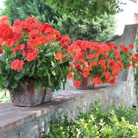 Capannori Stylish Townhouse Casa vacanze